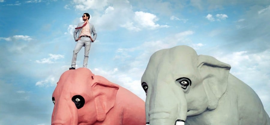 Images by Brian Bowen Smith 3