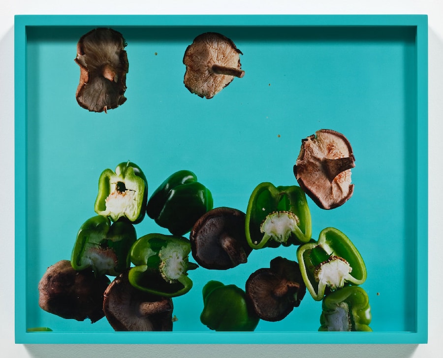 Elad Lassry (Israeli, born 1977) Green Peppers, Sh 9