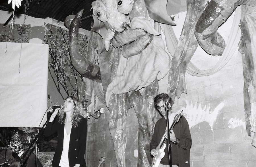 Photo by Alison Walsh 1