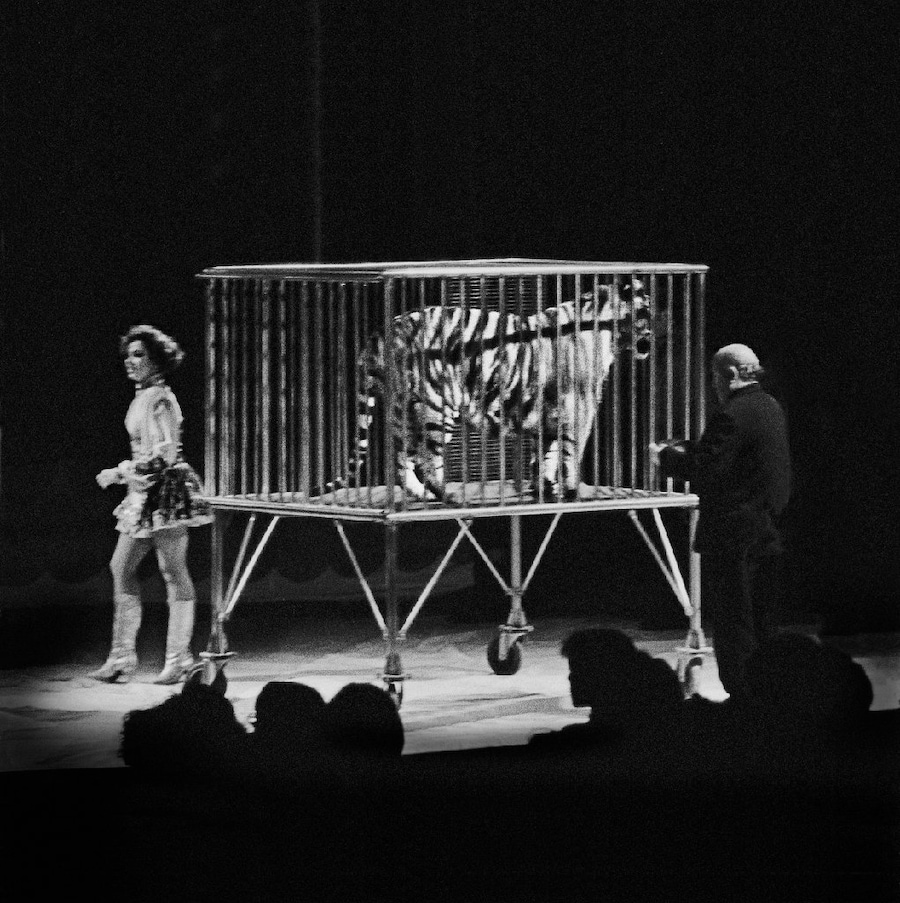 Craigie Horsfield, Circus, Placa de Torros la Monu 2