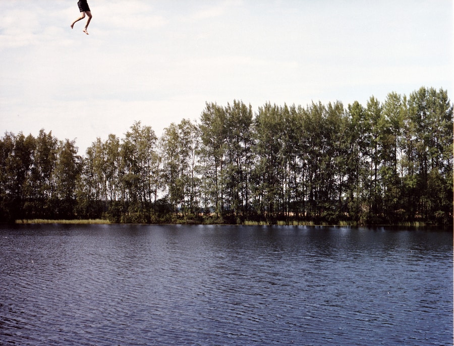 Image 8