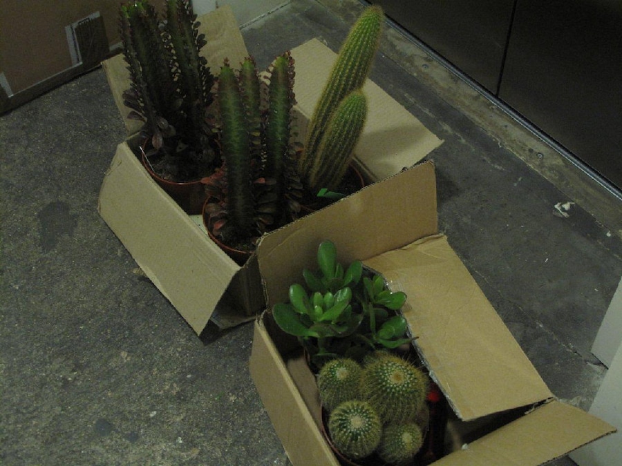 Image 12