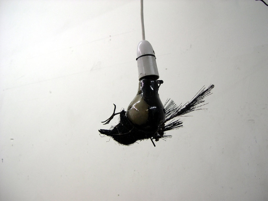 Flight 2010. Copyrite Tim Lewis 4