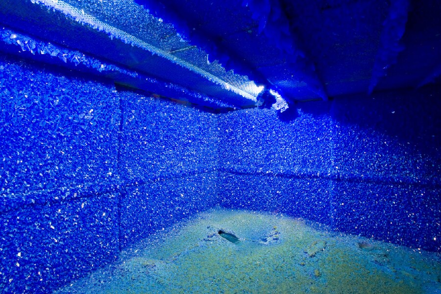 Seizure", 2009. An Artangel/Jerwood Commission. Ph 3