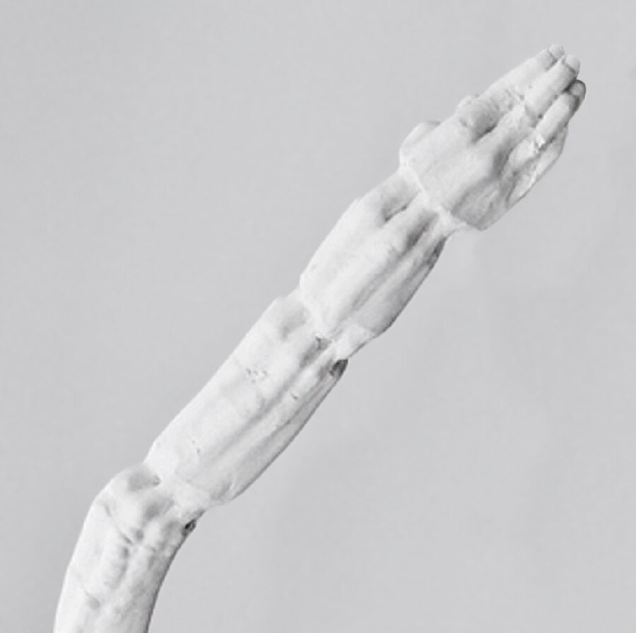 Sinew (detail), Juliana Cerqueira Leite (Courtesy 1