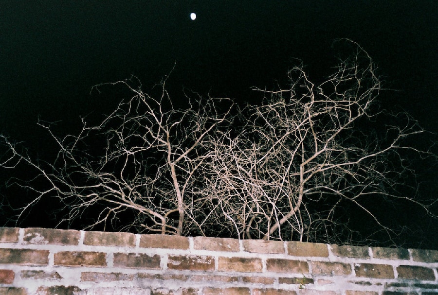 Image 9