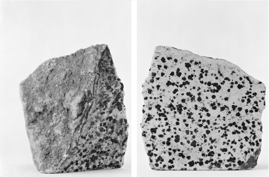 Katarina Elv&#233;n, Jasper Dalmatiner, Removes Disillu 1