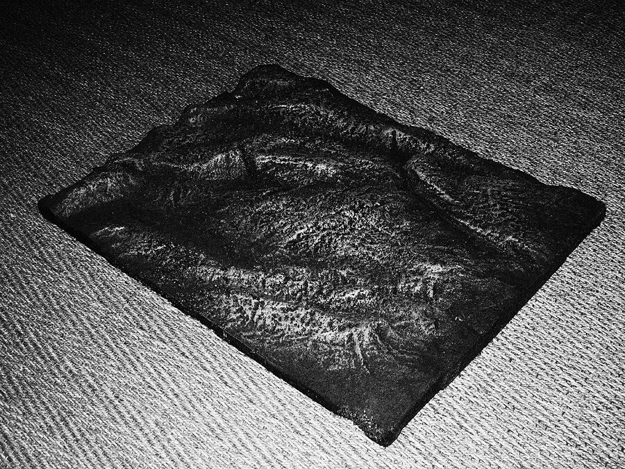 Marie Qu&#233;au, Gojira, 2010 1