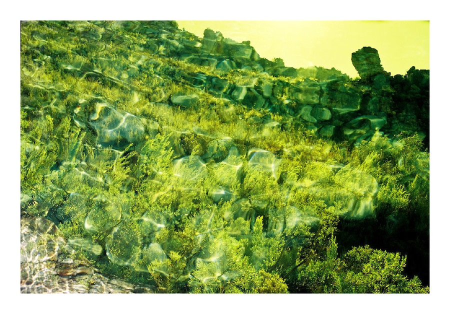 Image 0
