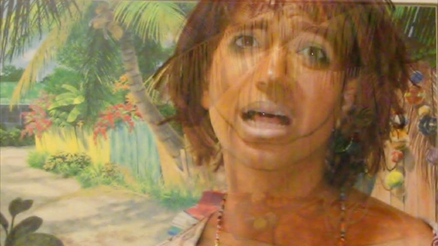 Ryan Trecartin Sibling Topics (section a), 2009 HD 3