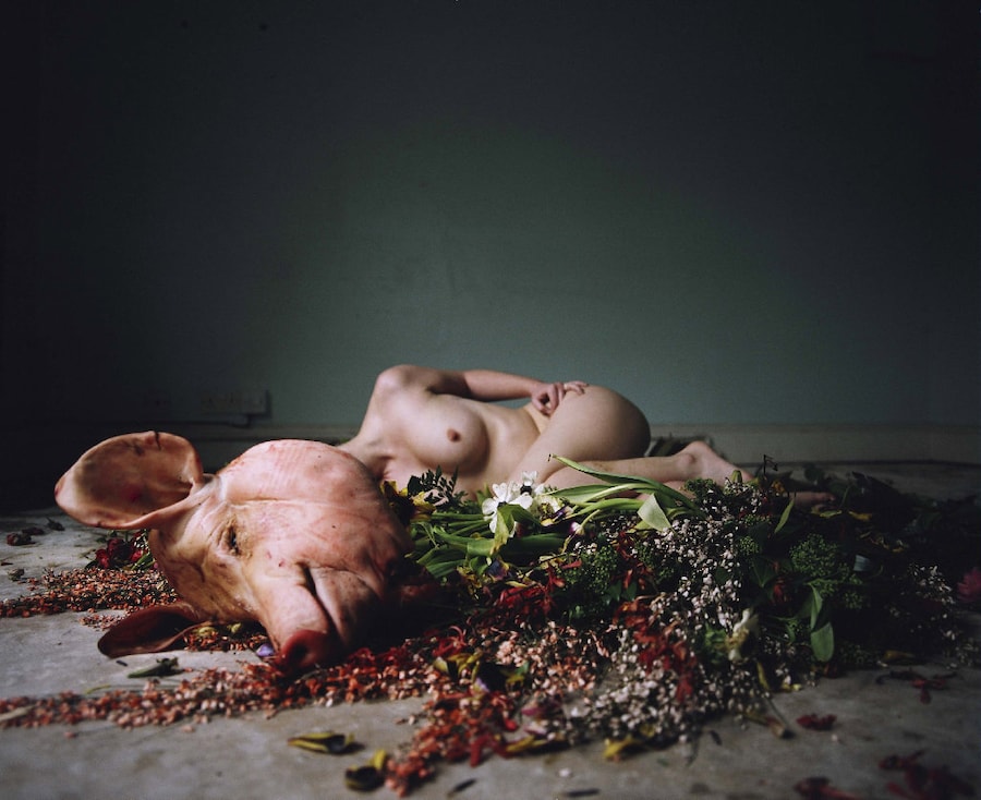 Sophia Schorr-kon Delphines Call, 2010 2