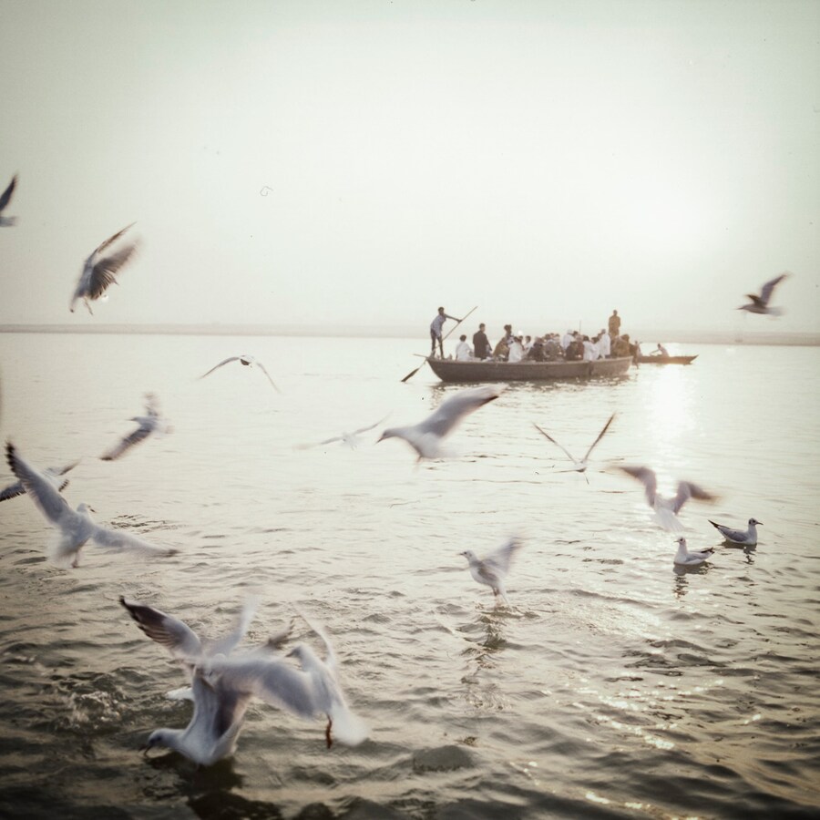 Image 11