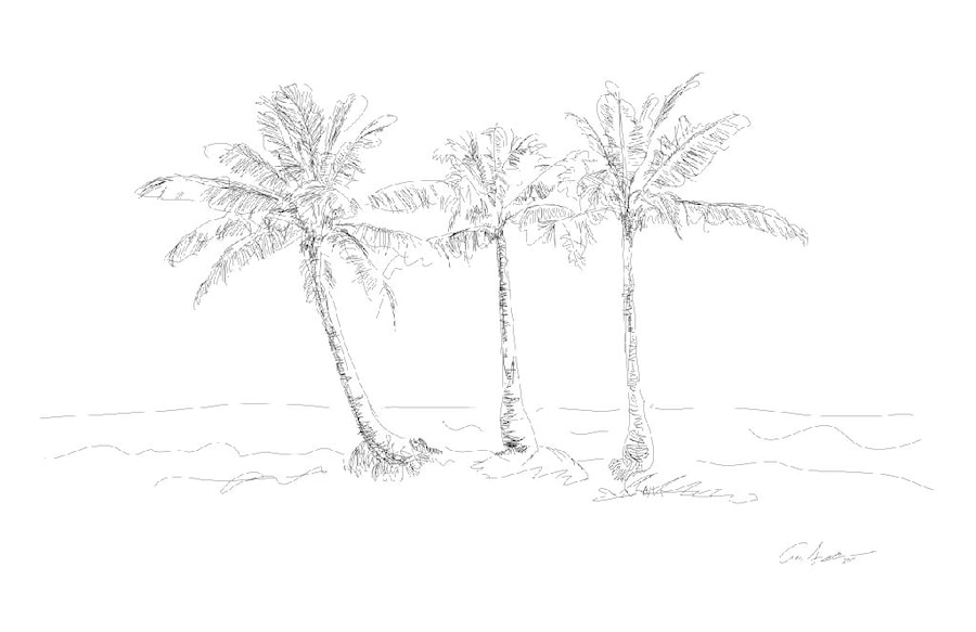 Three Palms, 2011 2