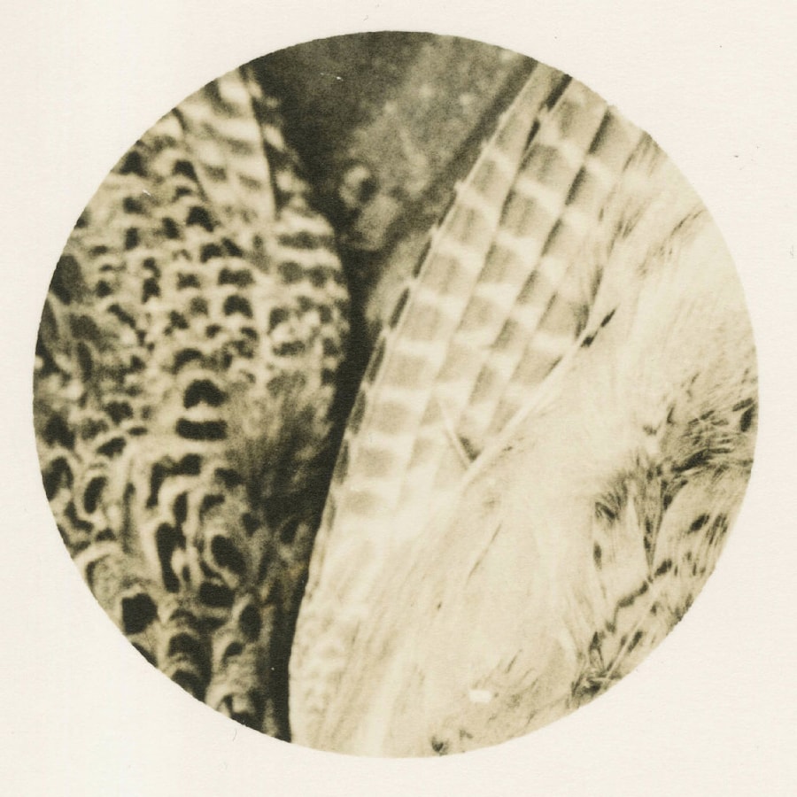 Image 0