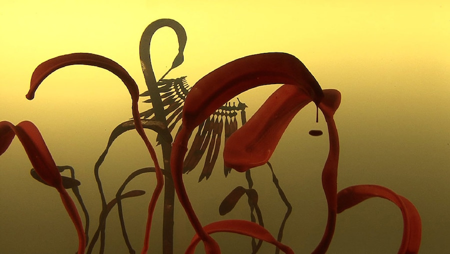 &#39;Pareidolia&#39; - HD video for projection with sound 4