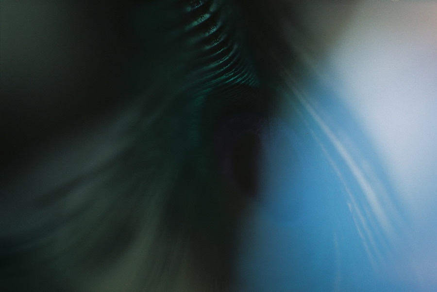 Image 22