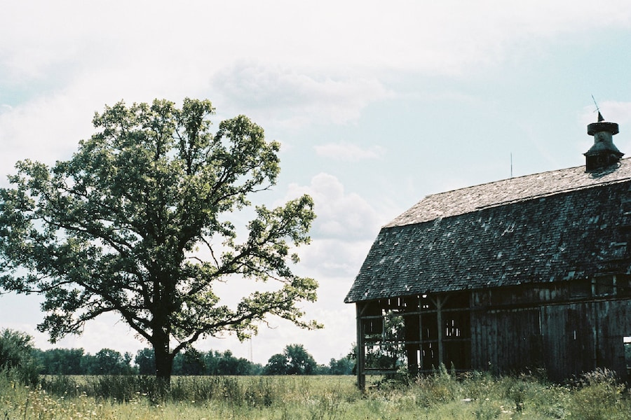 Image 10