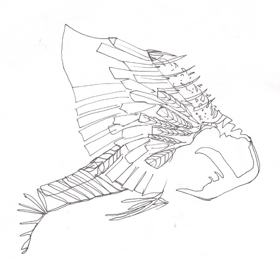 Workbook/research imagery courtesy of PHNX 6