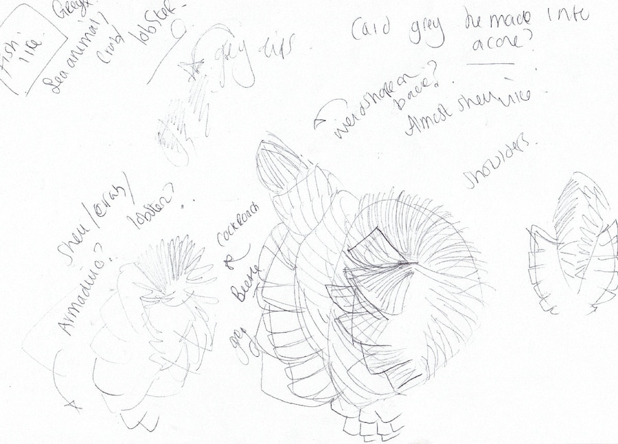 Workbook/research imagery courtesy of PHNX 3