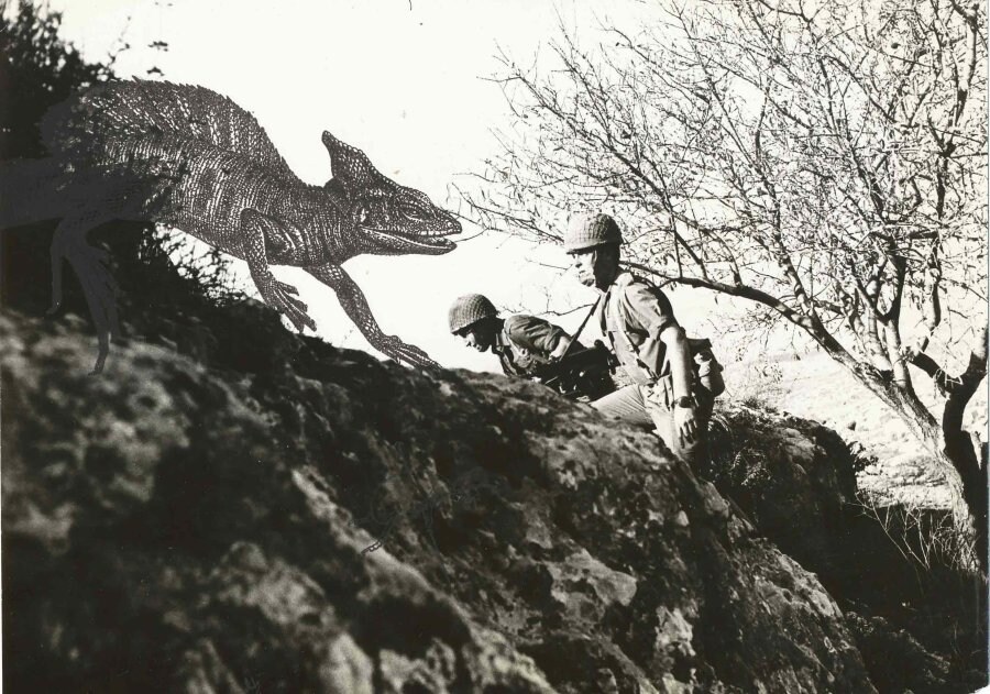 Image 0
