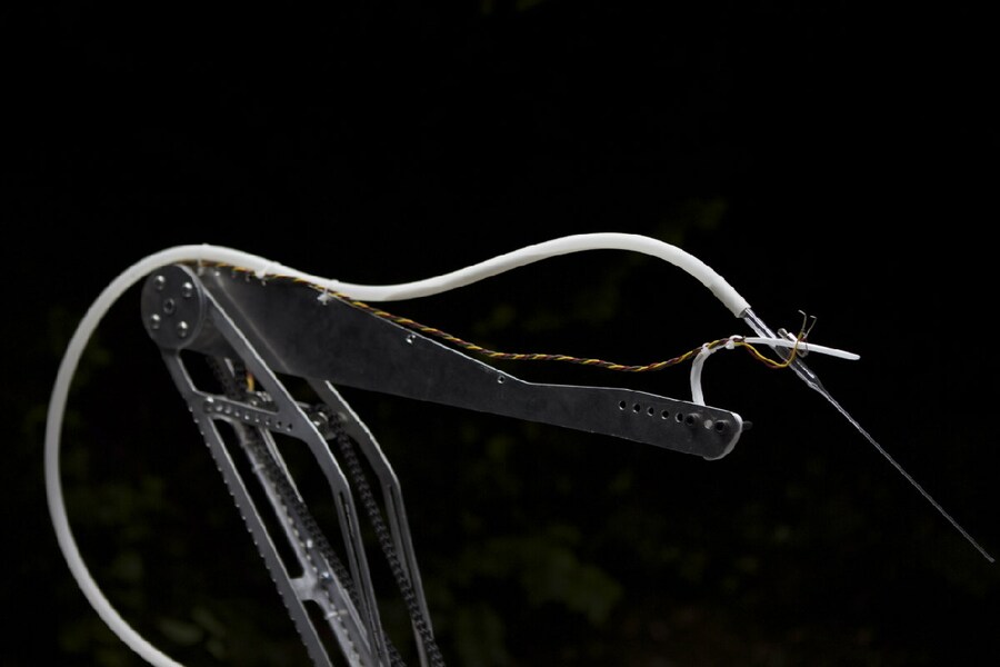 Images: Ollie Palmer 11