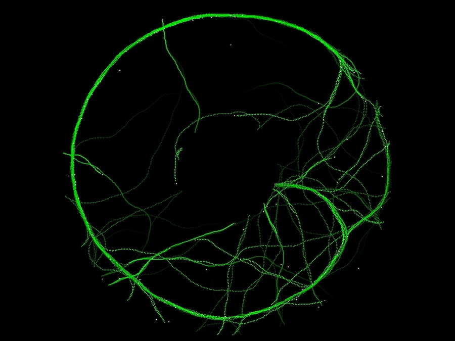 Image 9