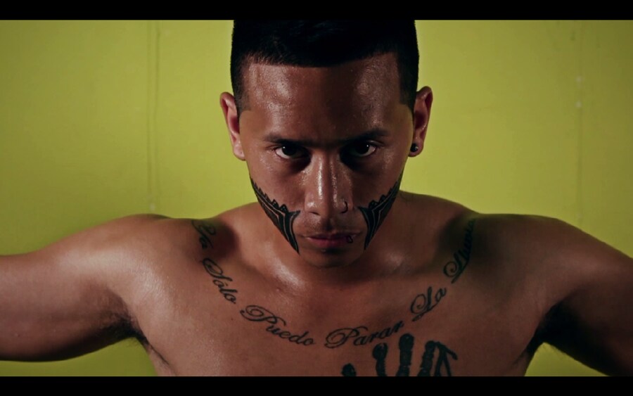 Milliano Tordecilla 5