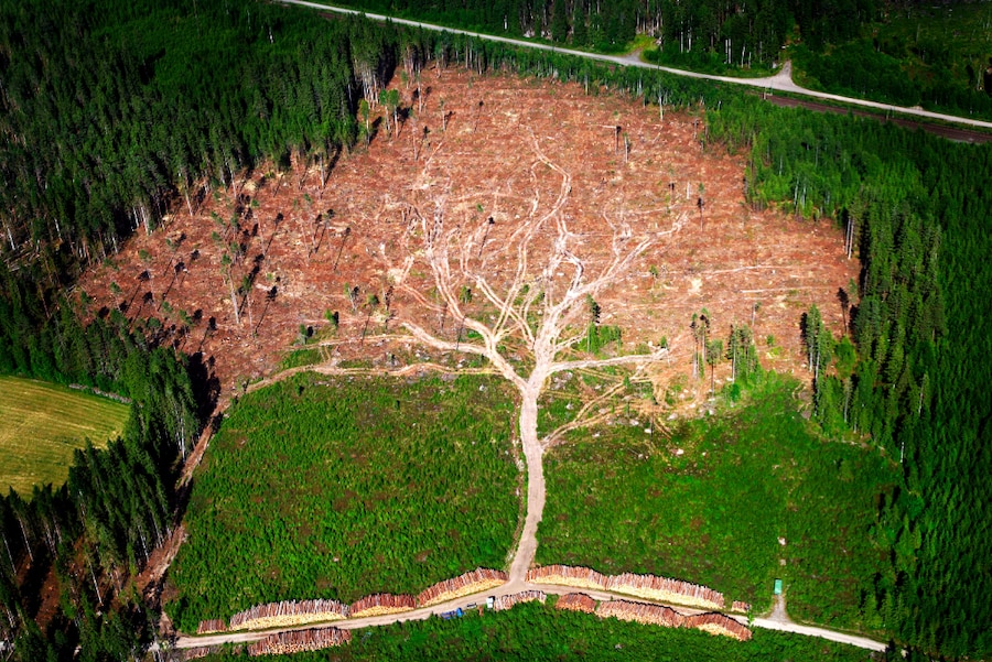 Joakim Berglund, 2006 2