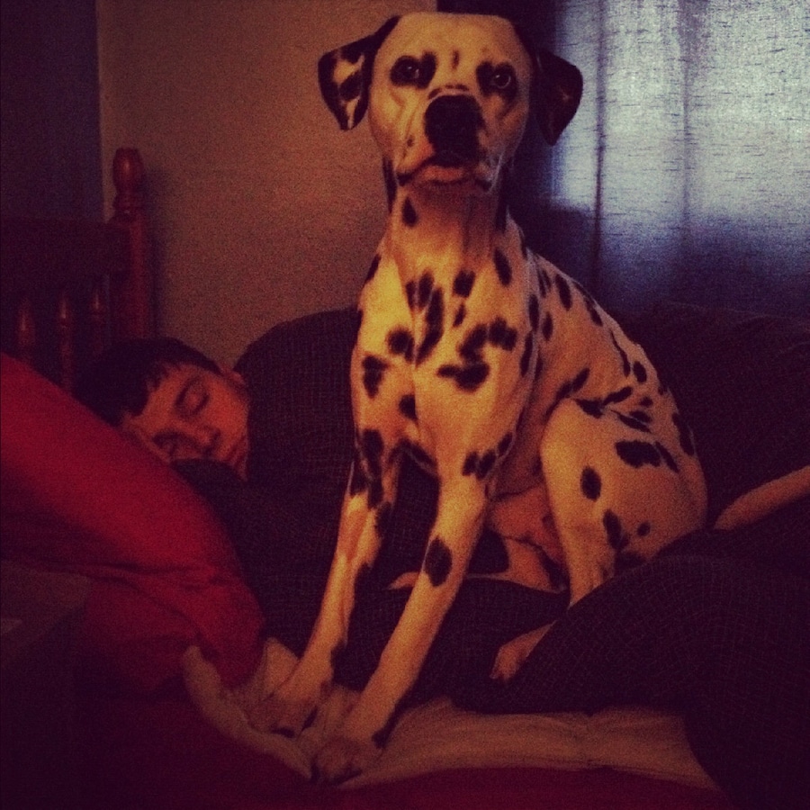 my brother and Jasper on the bed 8