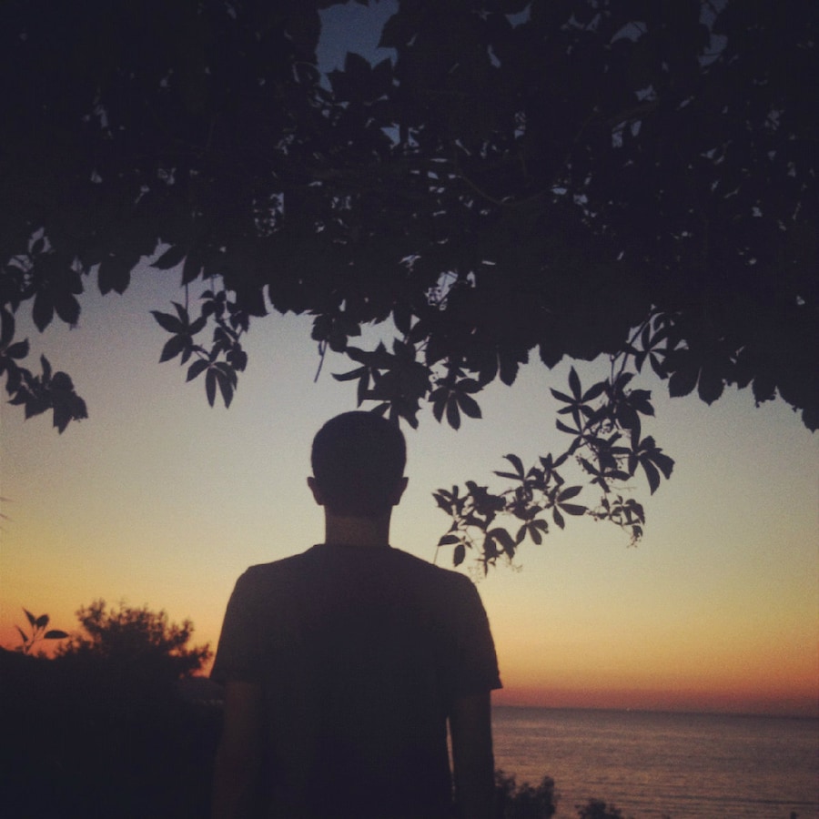 Ashley and the Sunset 5