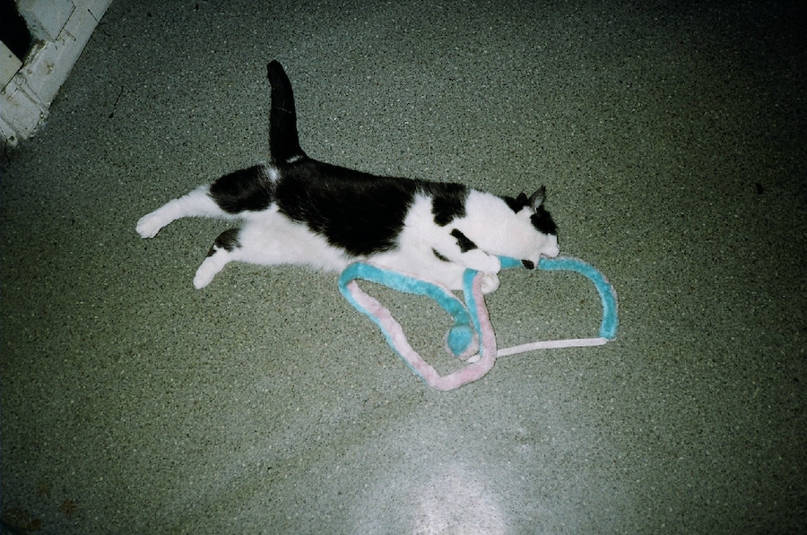 Image 8