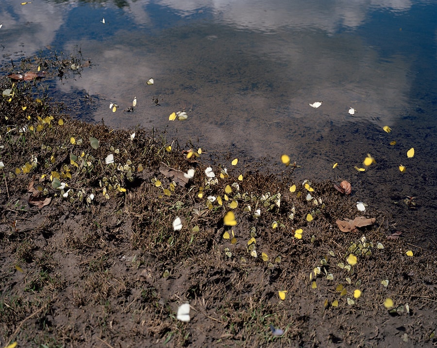 Image 45
