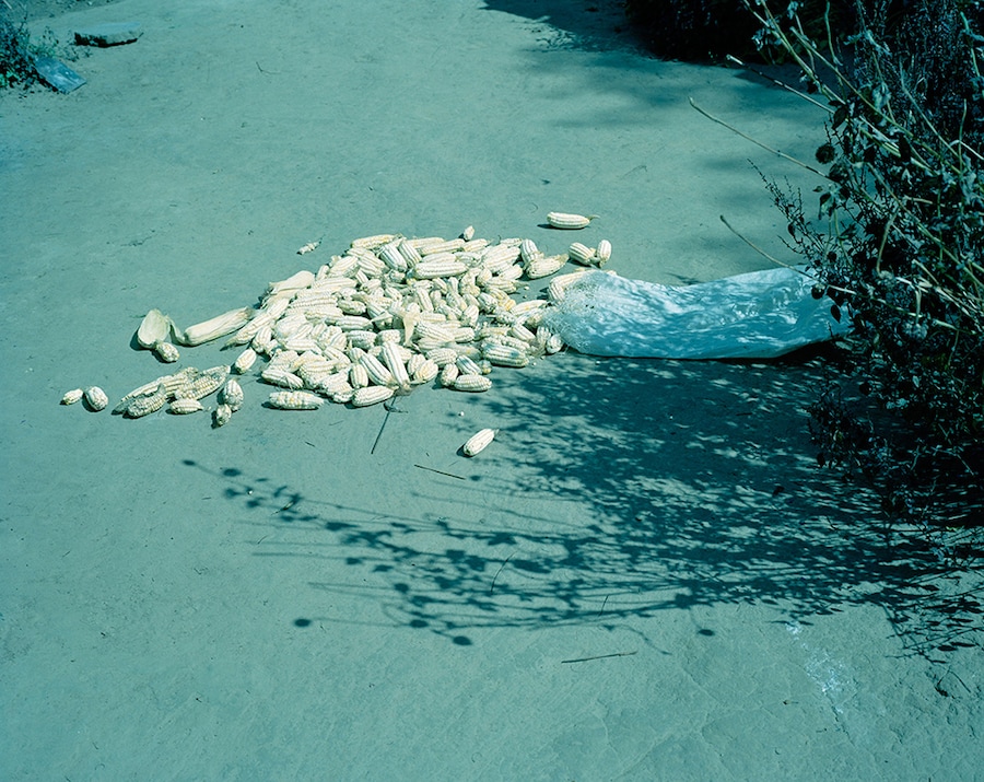 Image 41