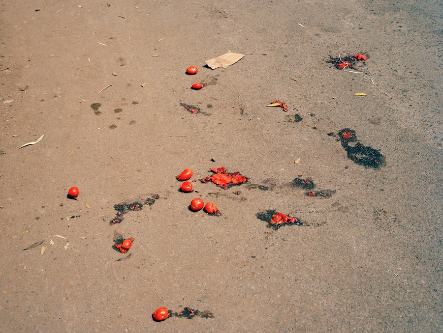 Image 15