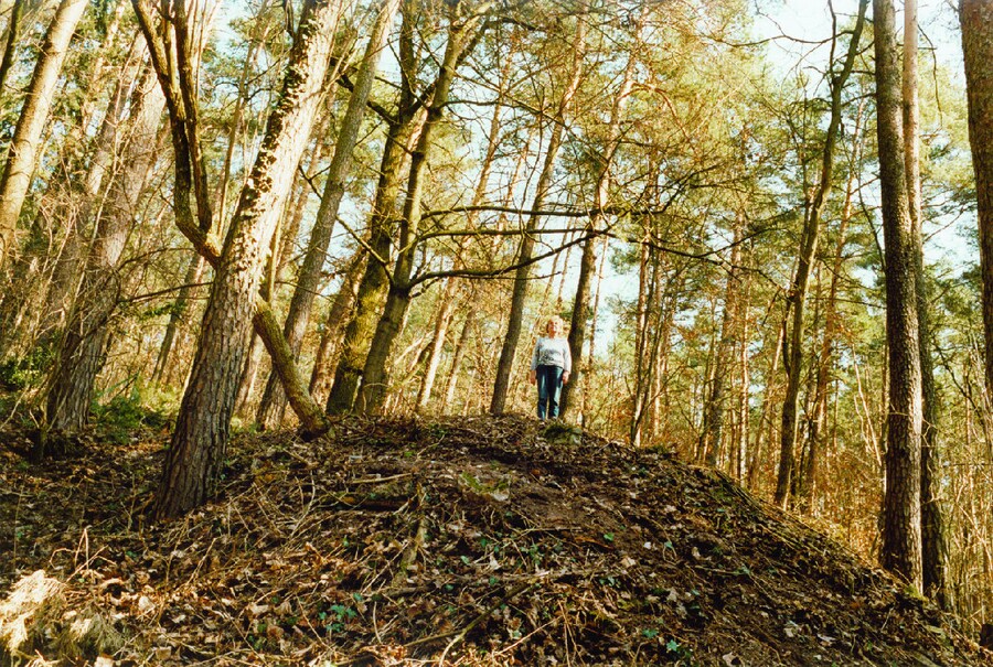 Nr 1 of the series ‘Irene im Wald’, 2012 3