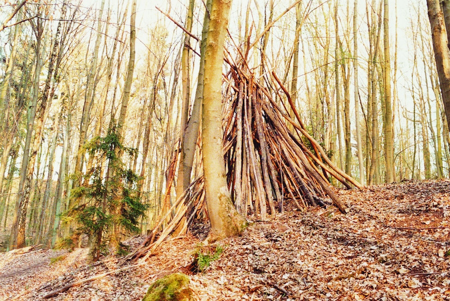 Nr 21 of the series ‘Irene im Wald’, 2012 0