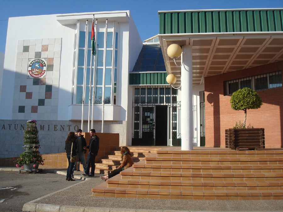 Image 4
