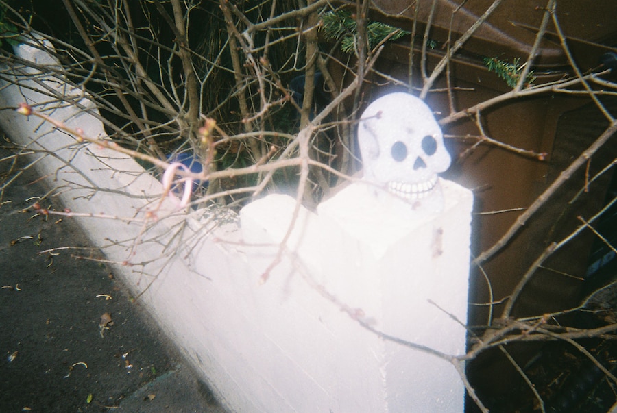 Image 10