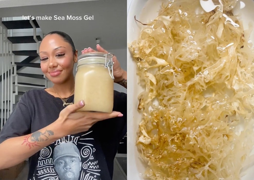 What is sea moss? A guide to the viral superfood | Dazed