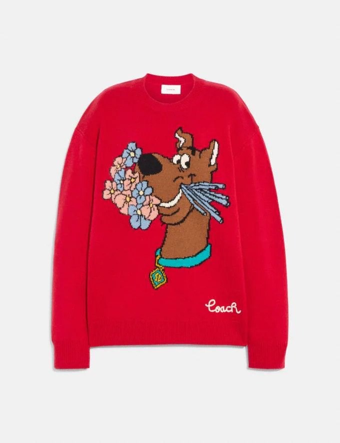 Scooby-Doo! Crewneck Sweater
